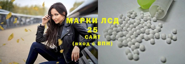 прущие крисы Горняк