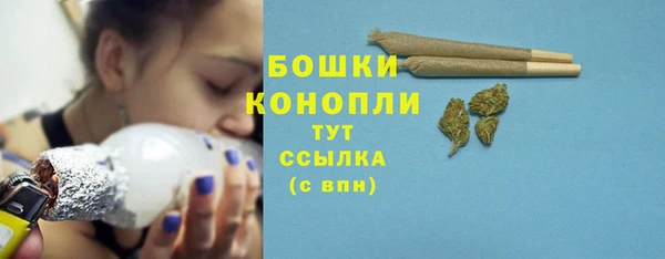прущие крисы Горняк