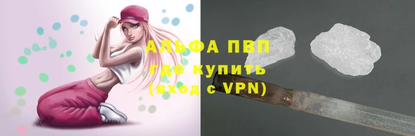 прущие крисы Горняк