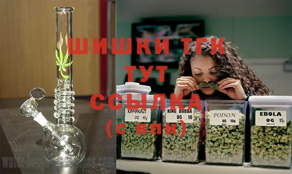 прущие крисы Горняк