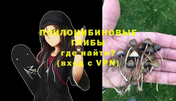 кокаин премиум Горнозаводск