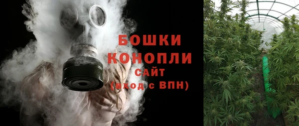 прущие крисы Горняк